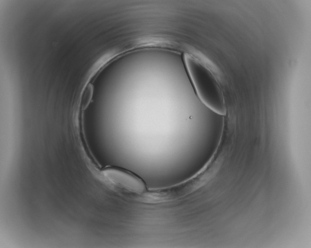X0000113331330200909140959