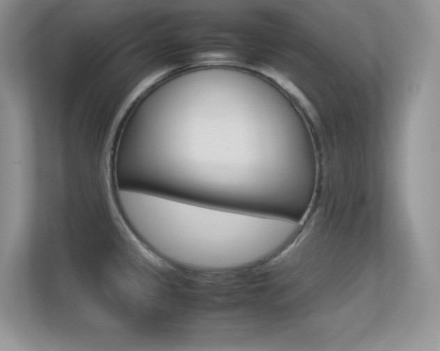 X0000113331333200909140959