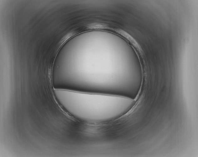 X0000113331337200909140959