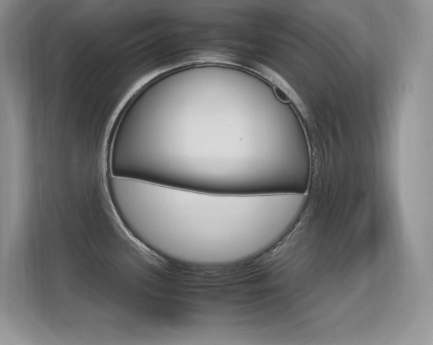 X0000113331339200909140959