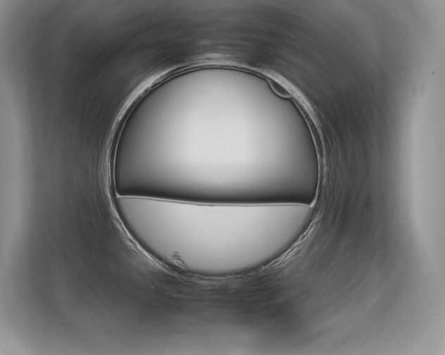 X0000113331341200909140959