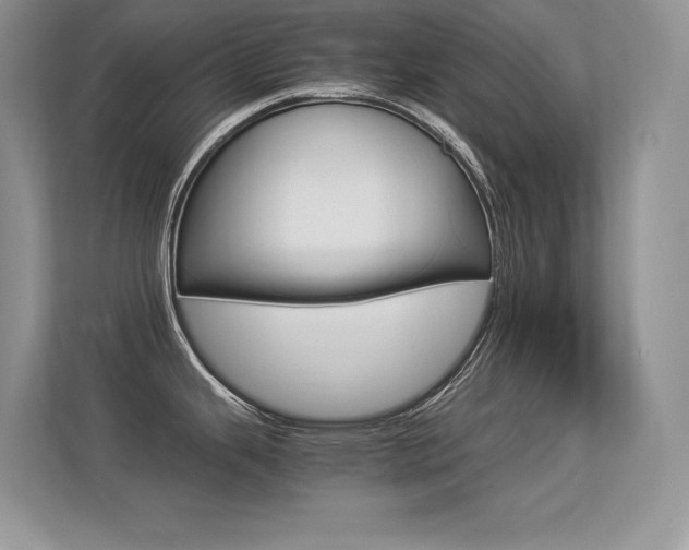 X0000113331343200909140959