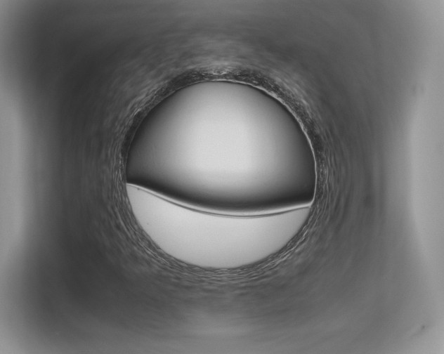 X0000113331349200909140959