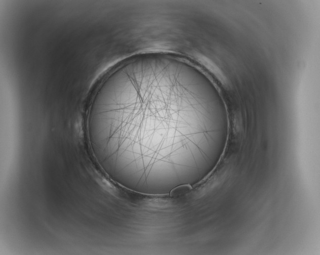 X0000113331356200909140959