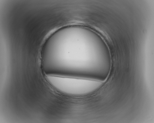 X0000113331363200909140959
