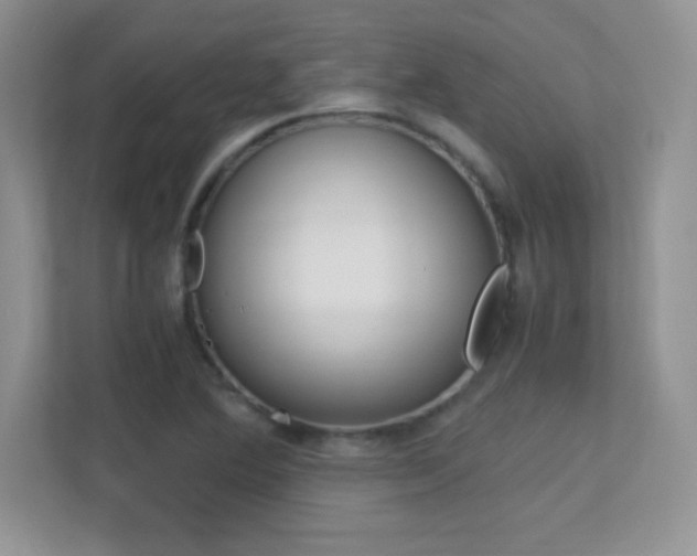 X0000113331364200909140958