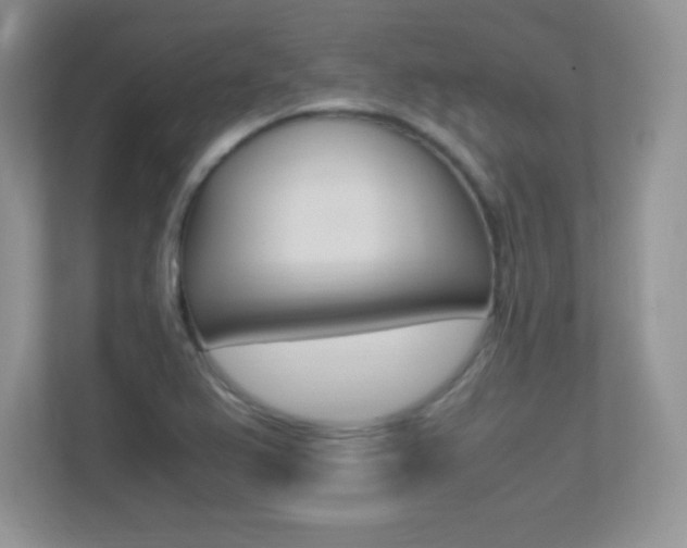 X0000113331367200909140958