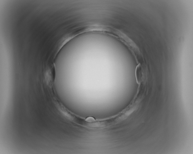 X0000113331369200909140958