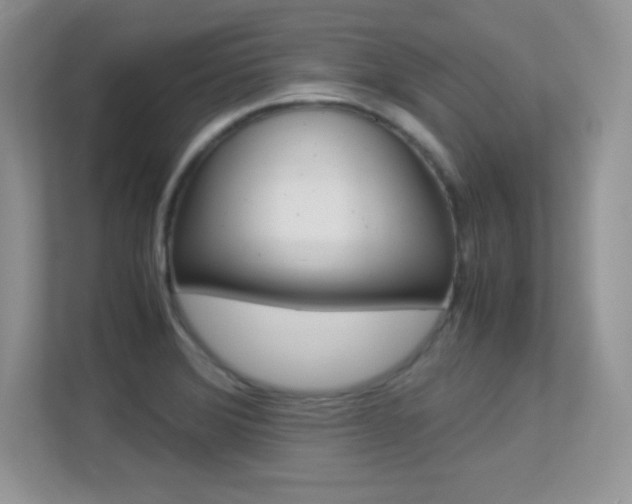 X0000113331372200909140958