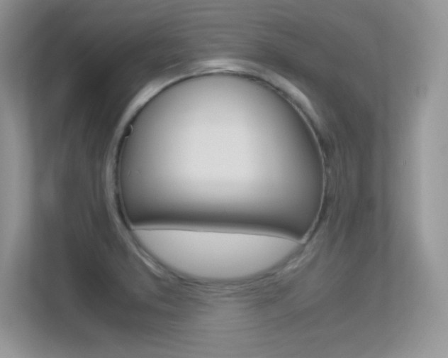 X0000113331373200909140958