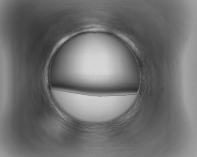 X0000113331375200909140958