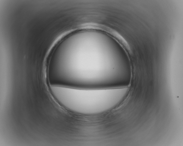 X0000113331376200909140958