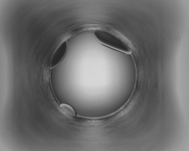 X0000113331377200909140958
