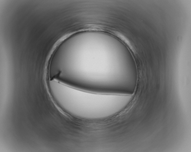 X0000113331379200909140958