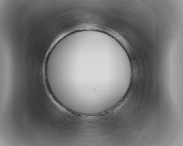 X0000113331382200909140958