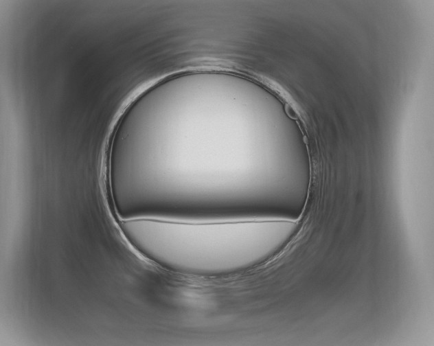 X0000113331387200909140958