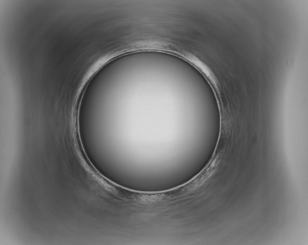 X0000113331389200909140958