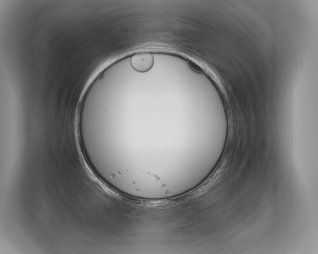 X0000113331390200909140958