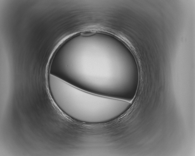 X0000113331392200909140958