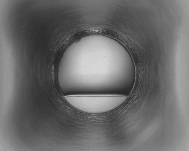 X0000113331394200909140958