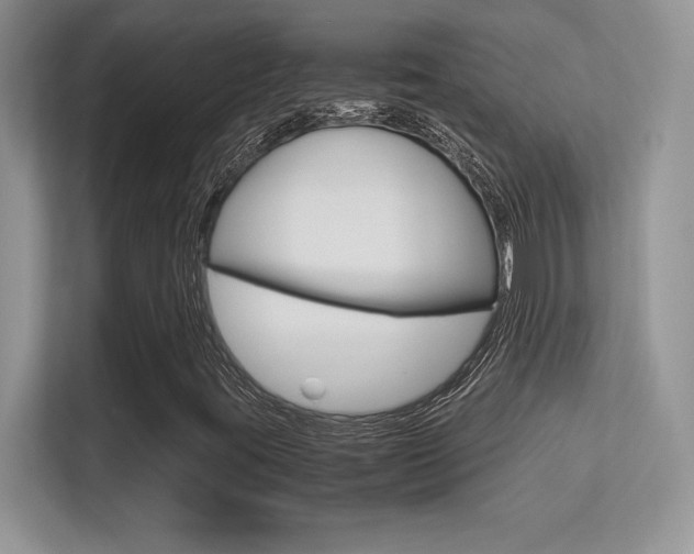 X0000113331395200909140958