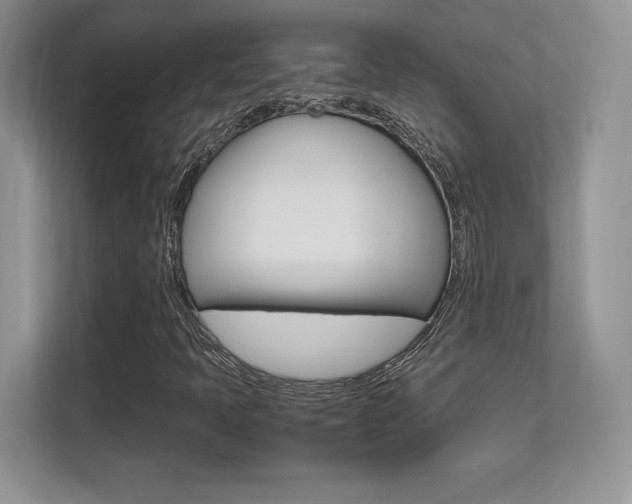 X0000113331397200909140958
