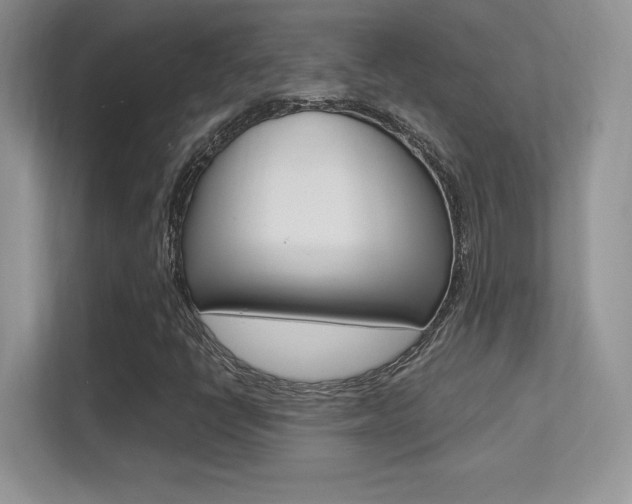 X0000113331398200909140958