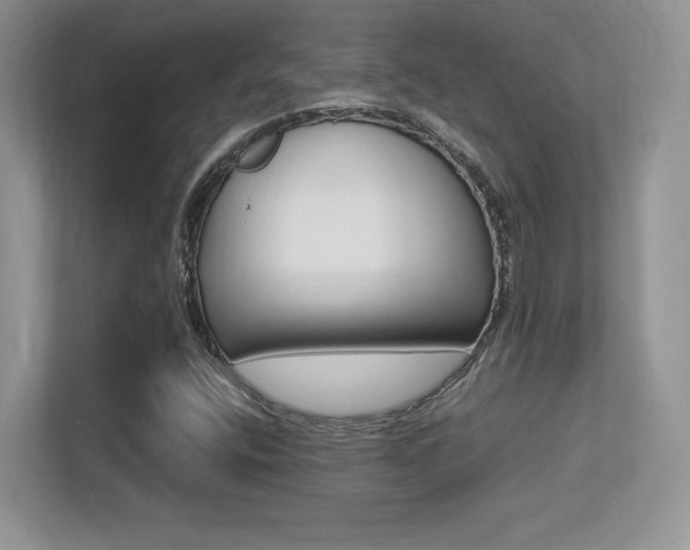 X0000113331400200909140958