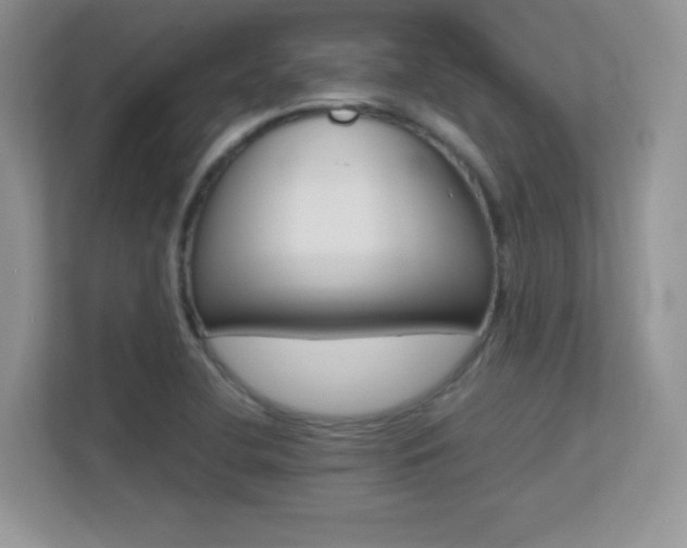 X0000113331412200909140958