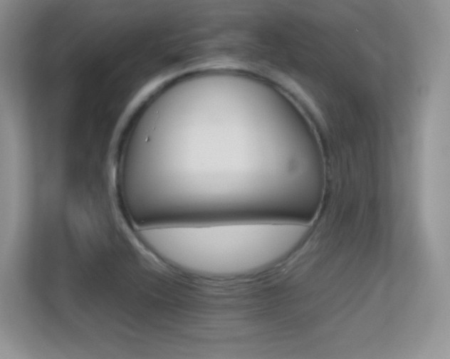 X0000113331416200909140958
