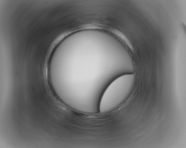 X0000113331419200909140958