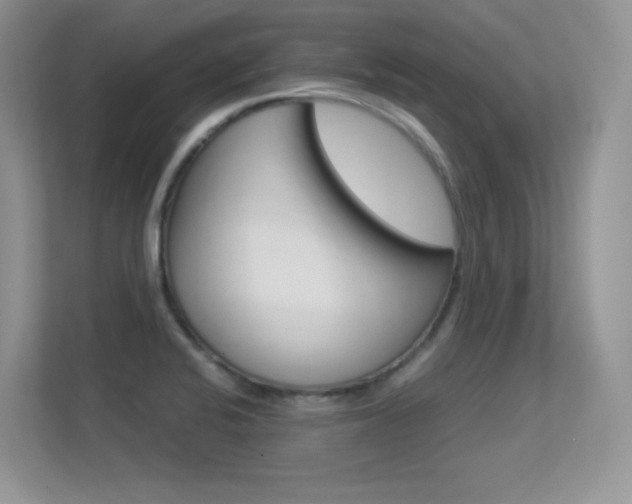 X0000113331424200909140958