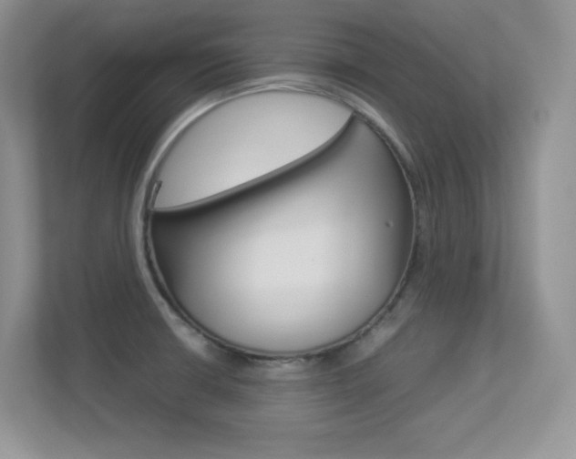X0000113331426200909140958