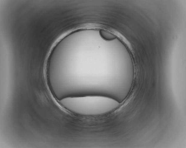 X0000113331429200909140958