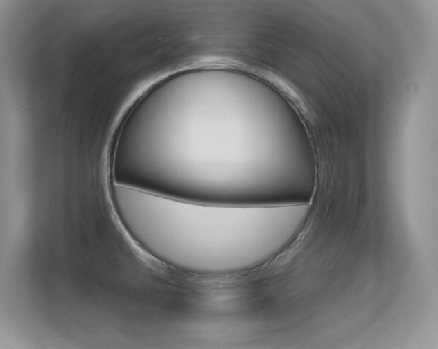 X0000113331430200909140958