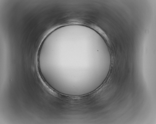 X0000113331431200909140958