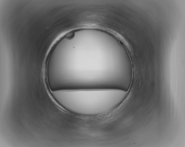 X0000113331432200909140958