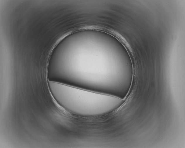 X0000113331433200909140958