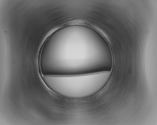 X0000113331434200909140958