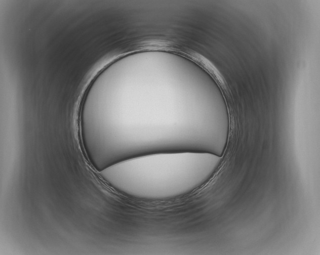 X0000113331435200909140958