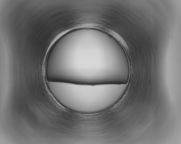 X0000113331436200909140958