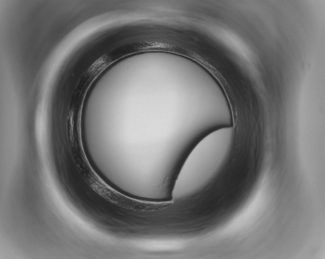 X0000113331439200909140958
