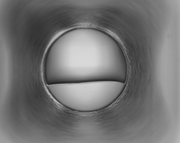 X0000113331440200909140958