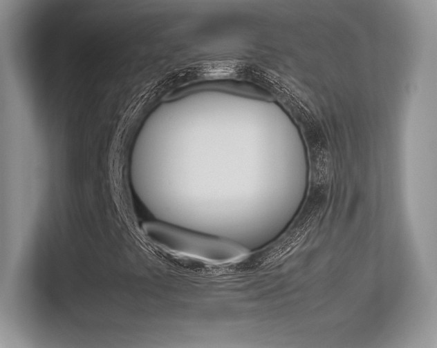 X0000113331441200909140957