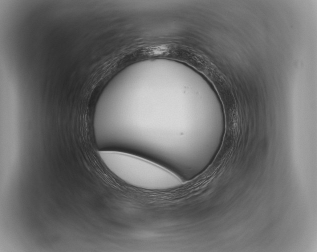 X0000113331442200909140957