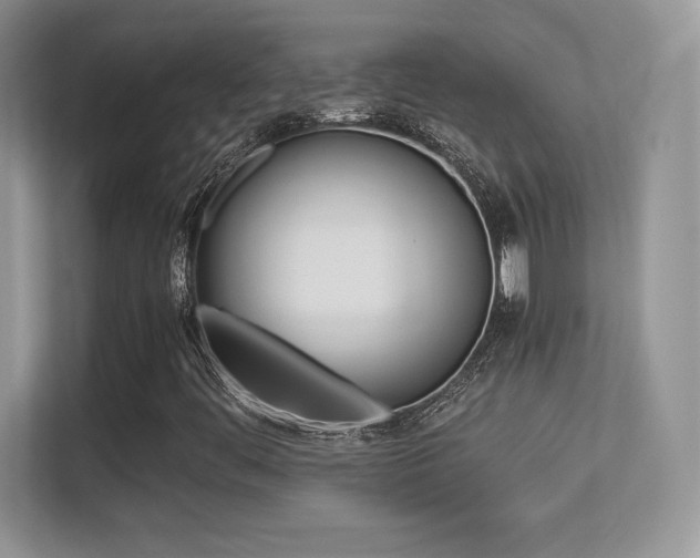 X0000113331444200909140957