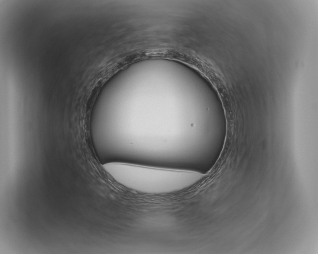 X0000113331445200909140957