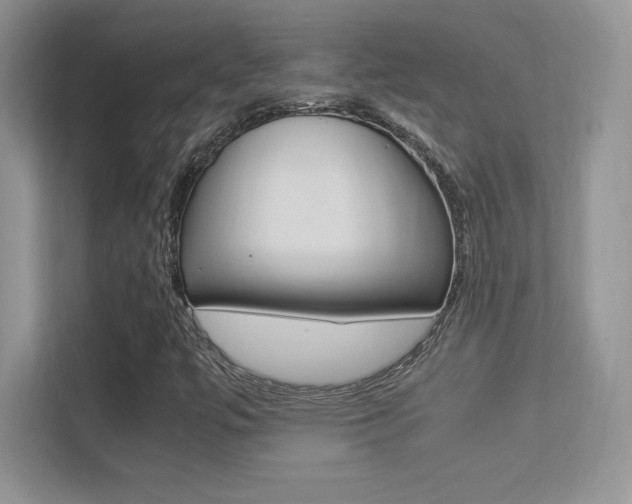 X0000113331447200909140957