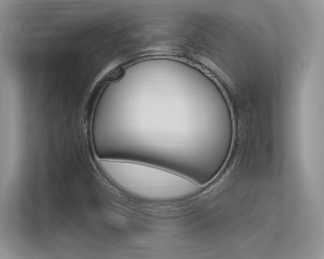 X0000113331450200909140957