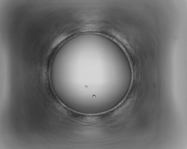 X0000113331453200909140957